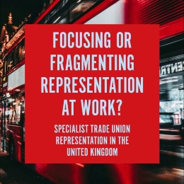 'Focusing or Fragmenting Representation at Work?' book cover.